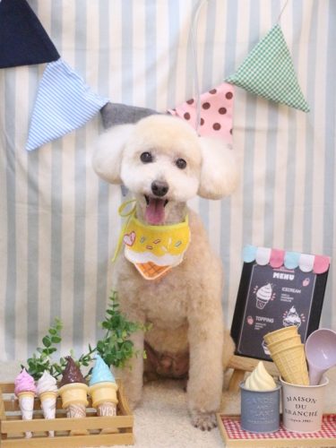 20250513ジョナくん